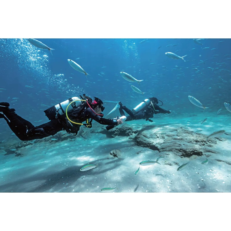 High-Speed Electric Underwater - Aquatic Diving avis et prix